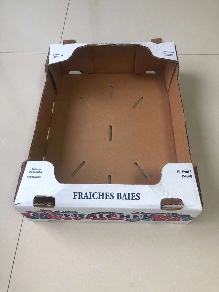 fruit takeaway pack pakaging box