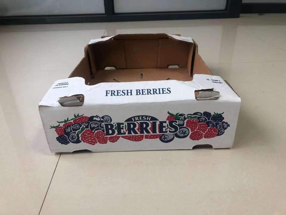 fruit takeaway pack pakaging box