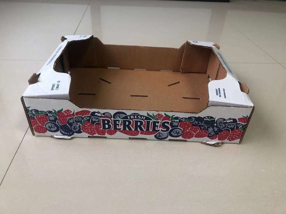 fruit takeaway pack pakaging box